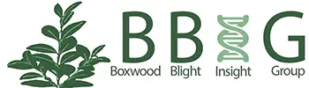 Boxwood Blight Insight Group