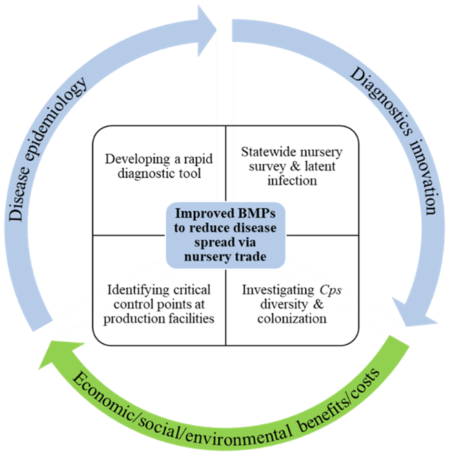 Diagram for objective 1: preventing blighted plants from entering the nursery trade