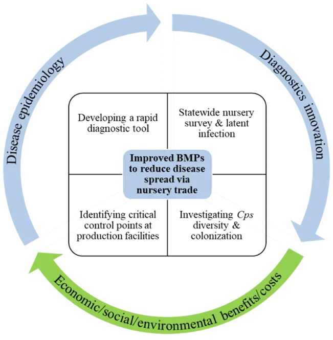 Diagram for objective 1: preventing blighted plants from entering the nursery trade