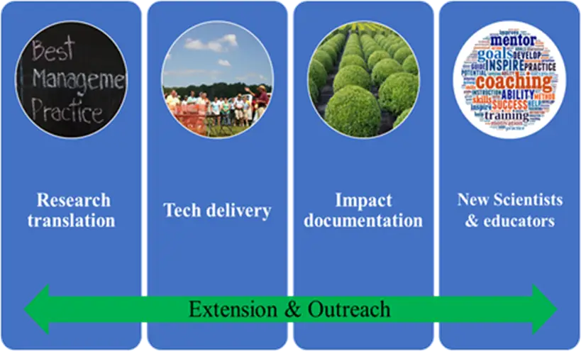 Diagram for objective 5: putting research into practice
