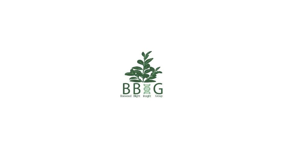 BBIG webinar